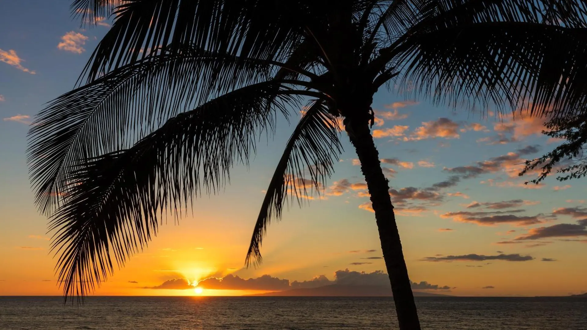 Holiday home Kahana Reef 203 United States