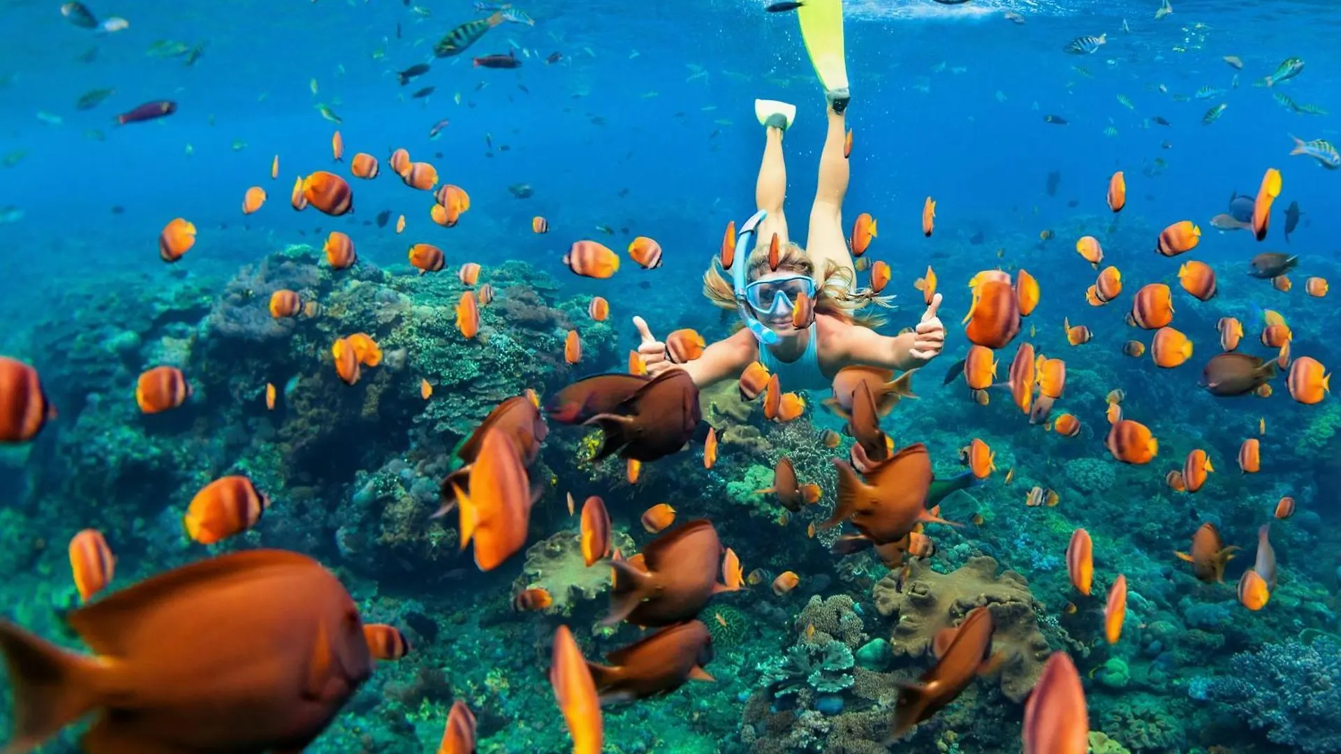 Holiday home Kahana Reef 203