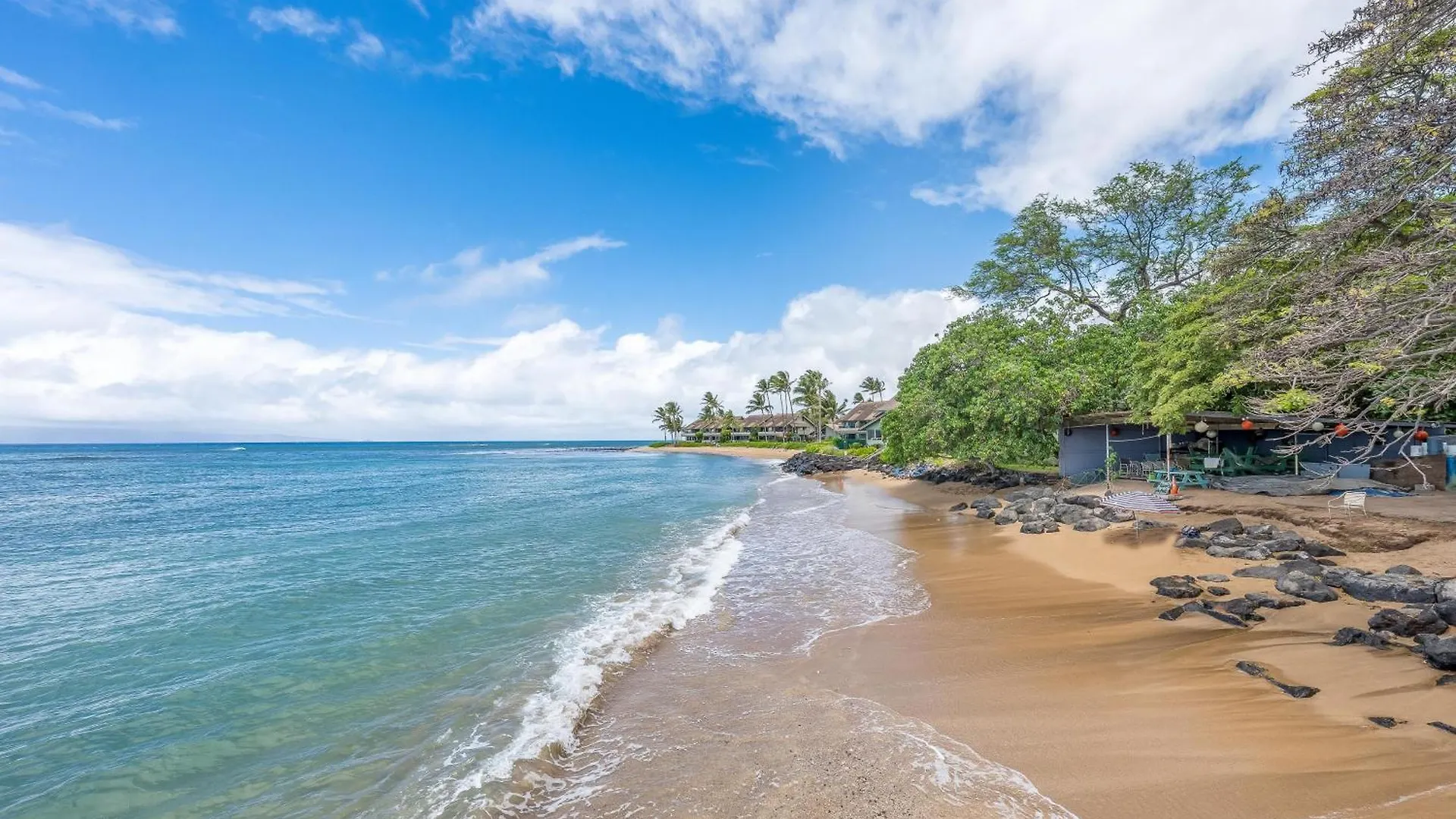 Kahana Reef 203 0*,